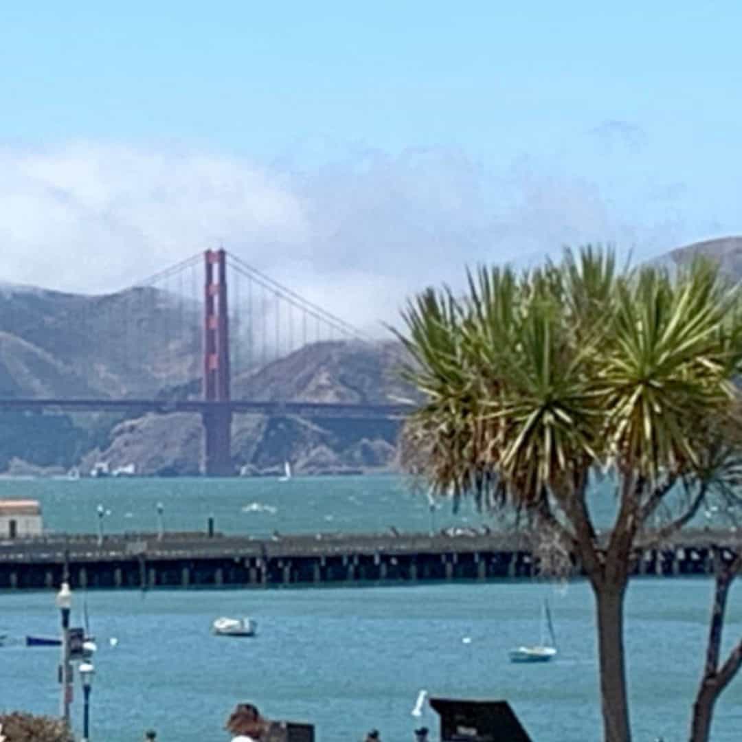 5 Best Family Vacation Spots in the US – Treasured Family Travels