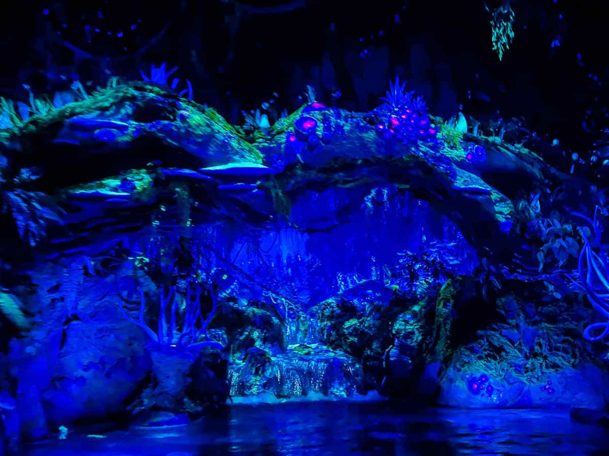 Bio luminescent water ride at Animal Kingdom