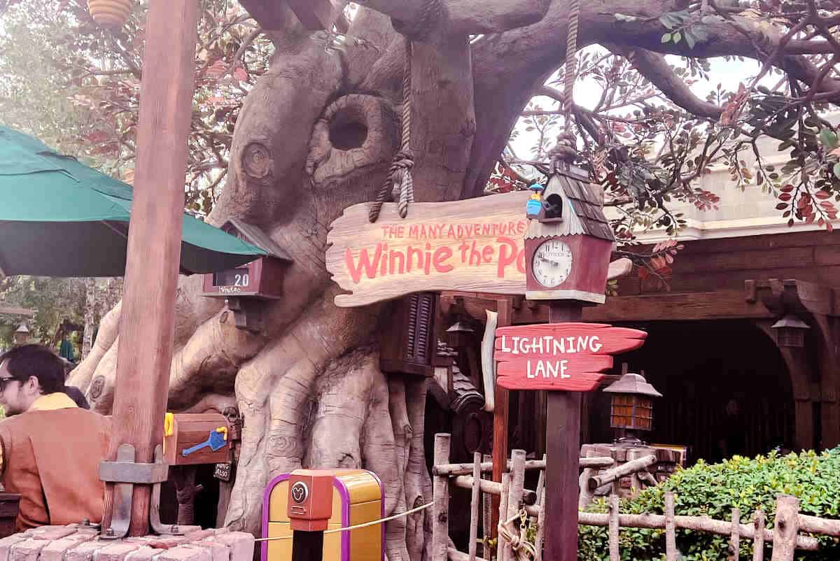 Large tree with a sign hanging from it that reads 'The many adventures of Winnie the Pooh" and another sign pointing to 'lightning lane'