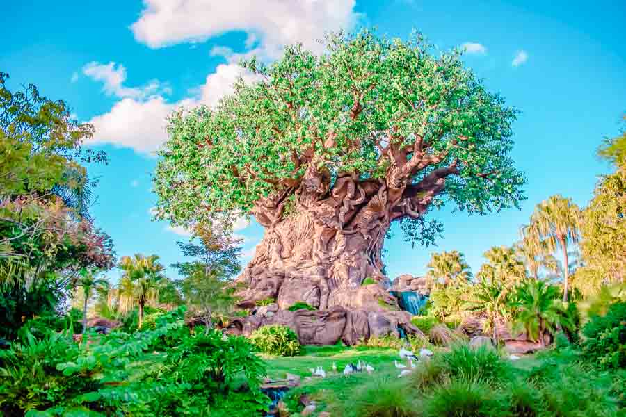 How BIG is Disney World? A ParkbyPark Breakdown