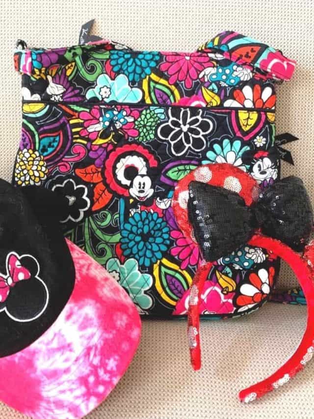 Red, pink, blue and green floral purse with Mickey Mouse face, hot pink and black baseball cap and red and silver Minnie ears on a beige background